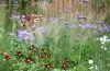 Prairie planting